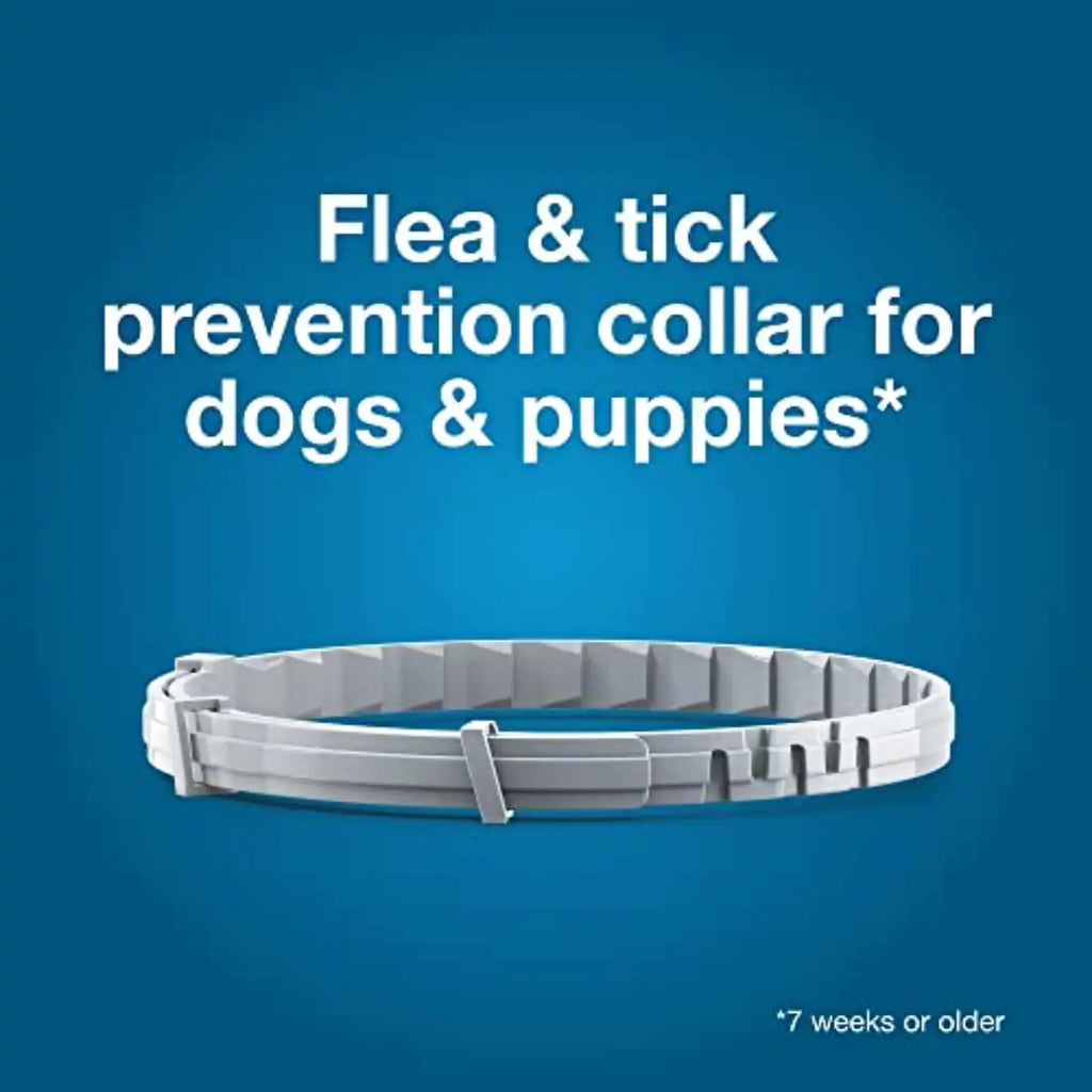 Flea & Tick Collar for Large Dogs , 8 Month Protection