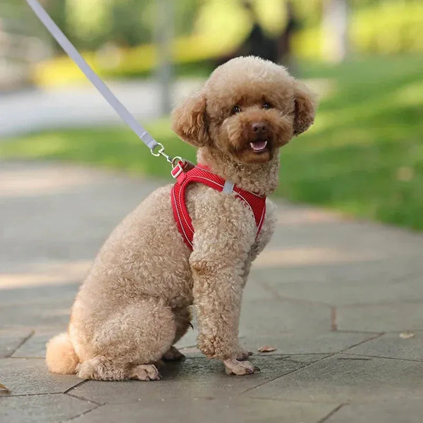 The Growing Mart Puppy Harness Set Adjustable No-Pull Leash Combo