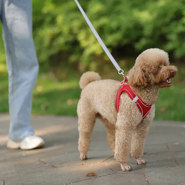 The Growing Mart Puppy Harness Set Adjustable No-Pull Leash Combo