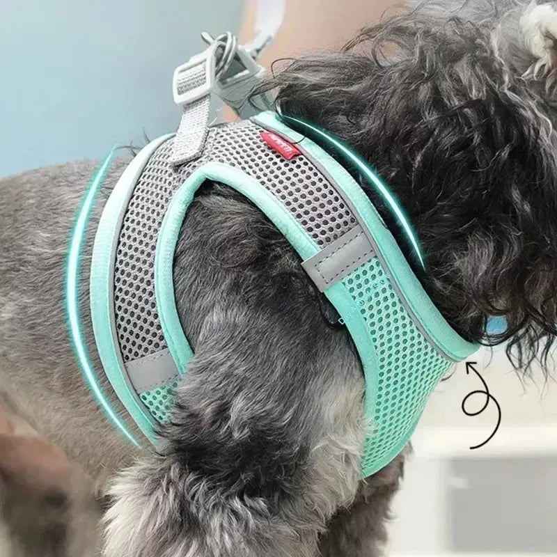 The Growing Mart Puppy Harness Set Adjustable No-Pull Leash Combo