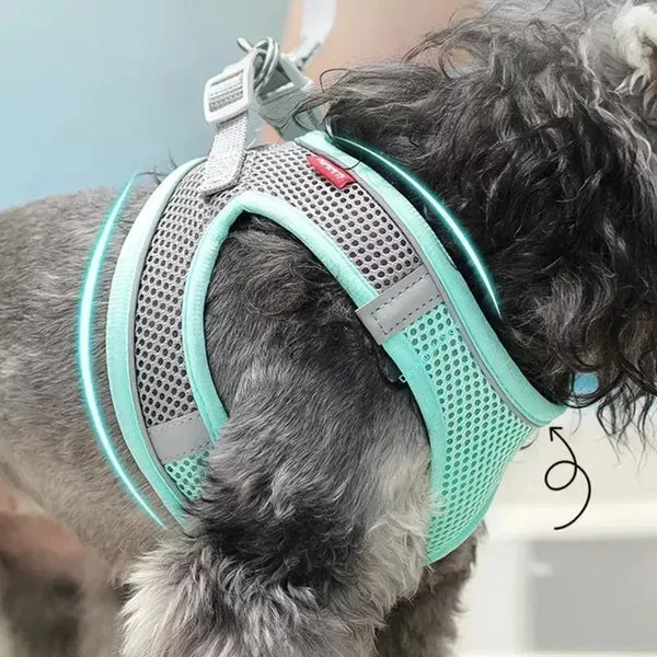 The Growing Mart Puppy Harness Set Adjustable No-Pull Leash Combo