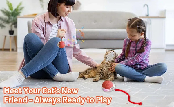 The Growing Mart Interactive Cat Toy – Automatic Rolling Smart Ball for Endless Play