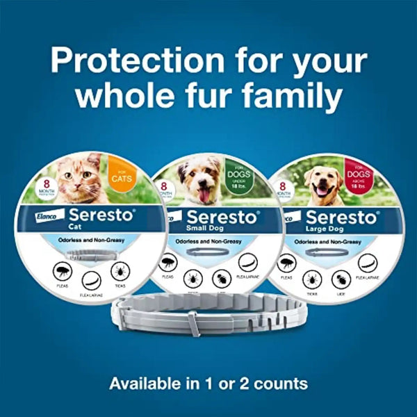 Flea & Tick Collar for Large Dogs , 8 Month Protection