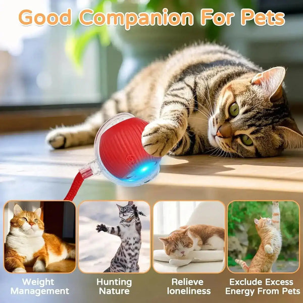 The Growing Mart Interactive Cat Toy – Automatic Rolling Smart Ball for Endless Play