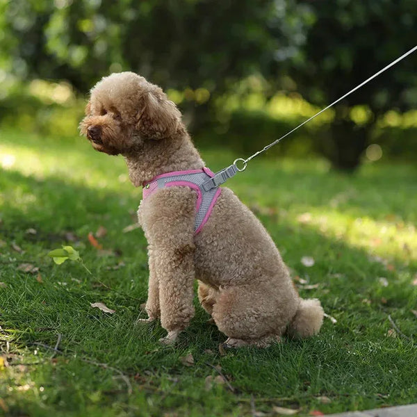 The Growing Mart Puppy Harness Set Adjustable No-Pull Leash Combo